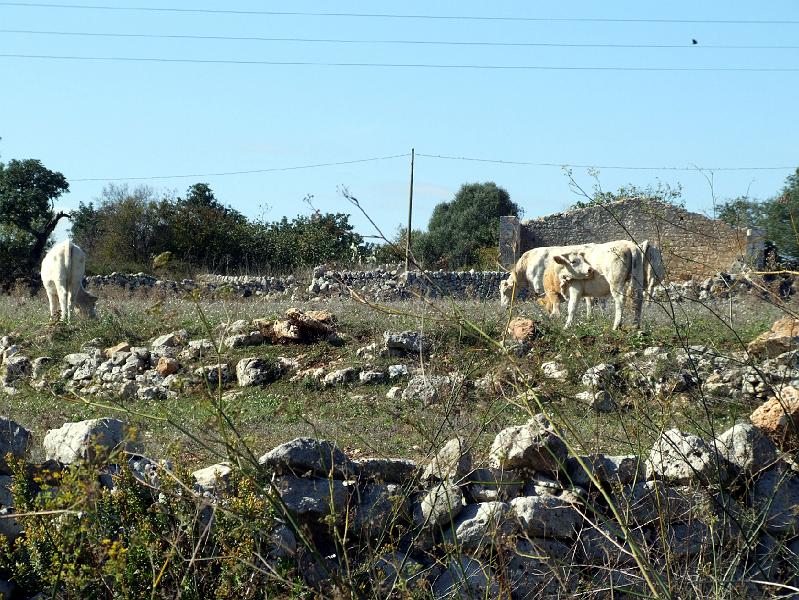 Noto Antica By RaffaeledaVinci e Andrea Mingo (42).jpg